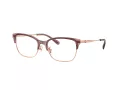 Coach Briller HC 5184 9461