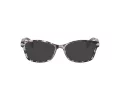 Coach Briller HC 6065 5548