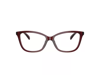 Coach Briller HC 6206U 5393