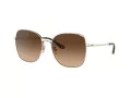 Coach C7997 Solbriller HC 7133 900574