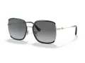 Coach C8000 Solbriller HC 7139BD 934611