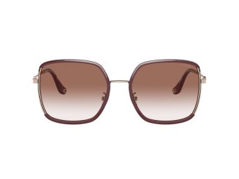 Coach C8000 Solbriller HC 7139BD 94028D