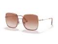 Coach C8000 Solbriller HC 7139BD 940813