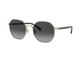 Coach Ch556 Solbriller HC 7147 90058G