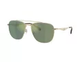 Coach Cw404 Solbriller HC 7172 90056R