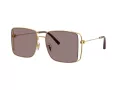 Coach Cw429 Solbriller HC 7174D 94417N