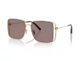 Coach Cw429 Solbriller HC 7174D 94417N