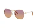 Coach Cad79 Solbriller HC 7175 900578