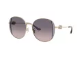 Coach Cad73 Solbriller HC 7176B 900536