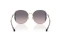 Coach Cad73 Solbriller HC 7176B 900536
