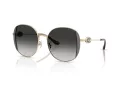 Coach Cad73 Solbriller HC 7176B 90053C