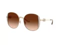Coach Cad73 Solbriller HC 7176B 900574