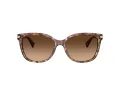 Coach L109 Solbriller HC 8132 528713