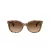 Coach L109 Solbriller HC 8132 528713