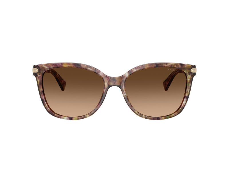 Coach L109 Solbriller HC 8132 528713