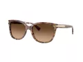 Coach L109 Solbriller HC 8132 528713