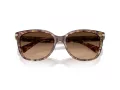 Coach L109 Solbriller HC 8132 528713