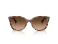 Coach L109 Solbriller HC 8132 528713