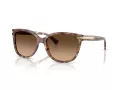 Coach L109 Solbriller HC 8132 528713