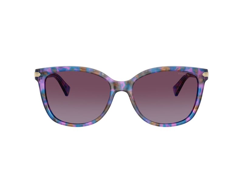 Coach L109 Solbriller HC 8132 52888H