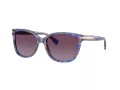 Coach L109 Solbriller HC 8132 52888H