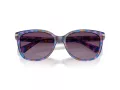 Coach L109 Solbriller HC 8132 52888H