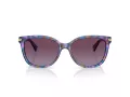 Coach L109 Solbriller HC 8132 52888H