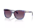 Coach L109 Solbriller HC 8132 52888H