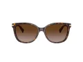 Coach L109 Solbriller HC 8132 529113