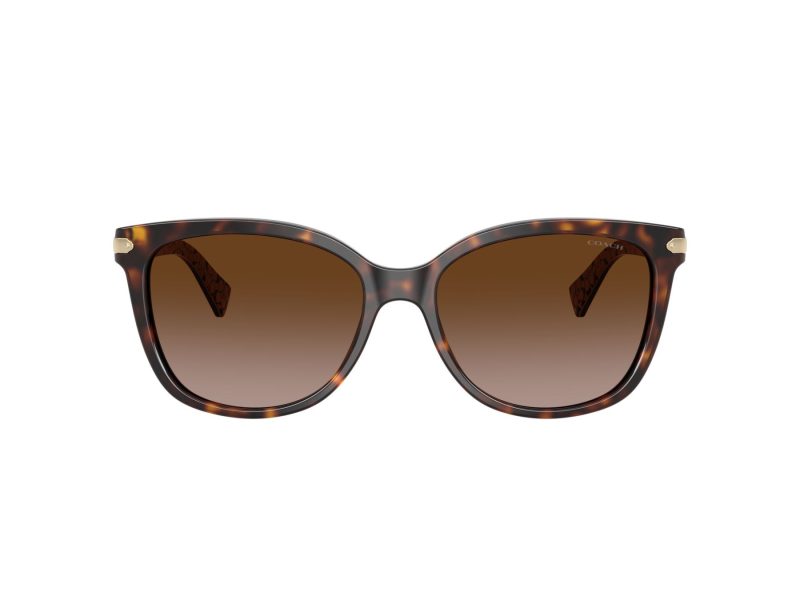 Coach L109 Solbriller HC 8132 529113