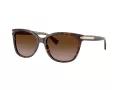 Coach L109 Solbriller HC 8132 529113