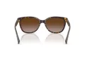Coach L109 Solbriller HC 8132 529113