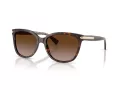 Coach L109 Solbriller HC 8132 529113