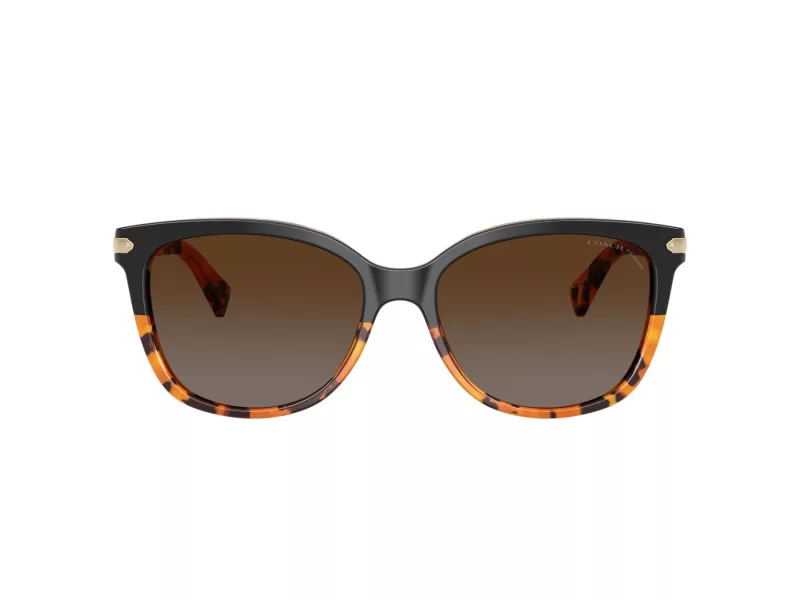 Coach L109 Solbriller HC 8132 5438T5