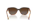 Coach L109 Solbriller HC 8132 5438T5