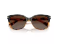 Coach L109 Solbriller HC 8132 5438T5