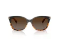 Coach L109 Solbriller HC 8132 5438T5