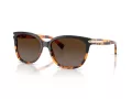 Coach L109 Solbriller HC 8132 5438T5