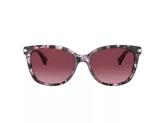 Coach L109 Solbriller HC 8132 55488H