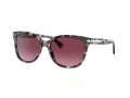 Coach L109 Solbriller HC 8132 55488H