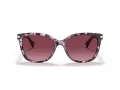 Coach L109 Solbriller HC 8132 55488H