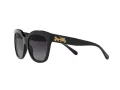 Coach L1083 Solbriller HC 8264 5002T3