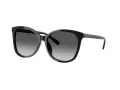 Coach L1101 Solbriller HC 8271U 5002T3