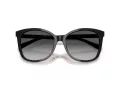 Coach L1101 Solbriller HC 8271U 5002T3