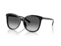 Coach L1101 Solbriller HC 8271U 5002T3
