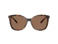 Coach L1101 Solbriller HC 8271U 512073