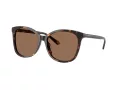 Coach L1101 Solbriller HC 8271U 512073