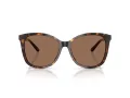 Coach L1101 Solbriller HC 8271U 512073