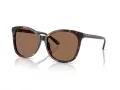 Coach L1101 Solbriller HC 8271U 512073
