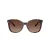 Coach L1101 Solbriller HC 8271U 5120T5